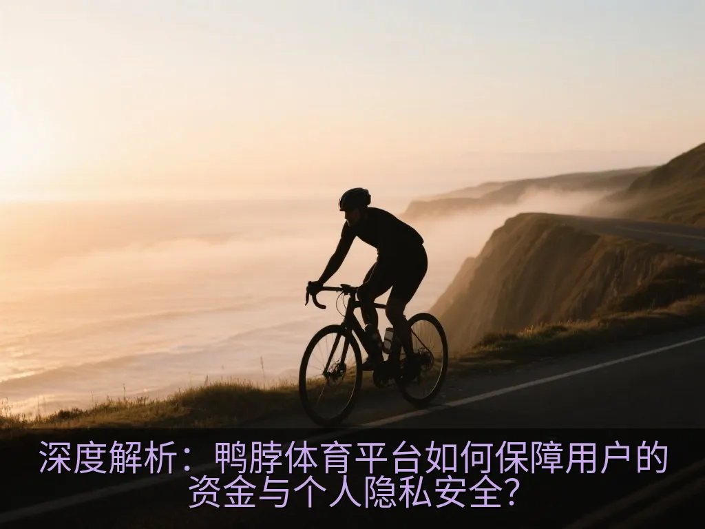 深度解析：鸭脖体育平台如何保障用户的资金与个人隐私安全？